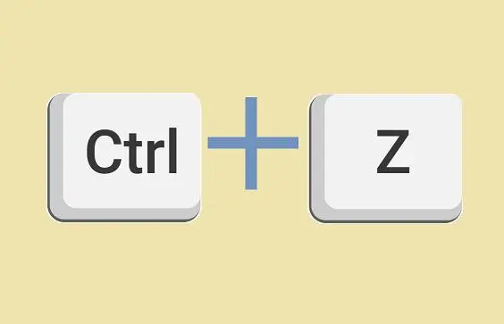 使用撤销键（Ctrl+Z）