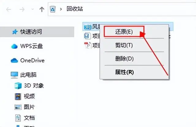 检查回收站（适用于电脑连接SD卡操作）