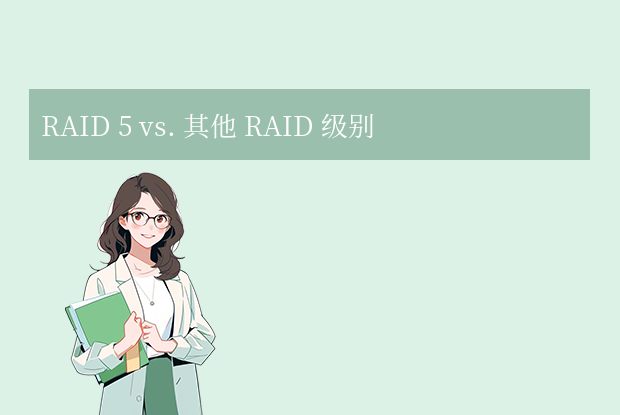 RAID 5 vs. 其他 RAID 级别